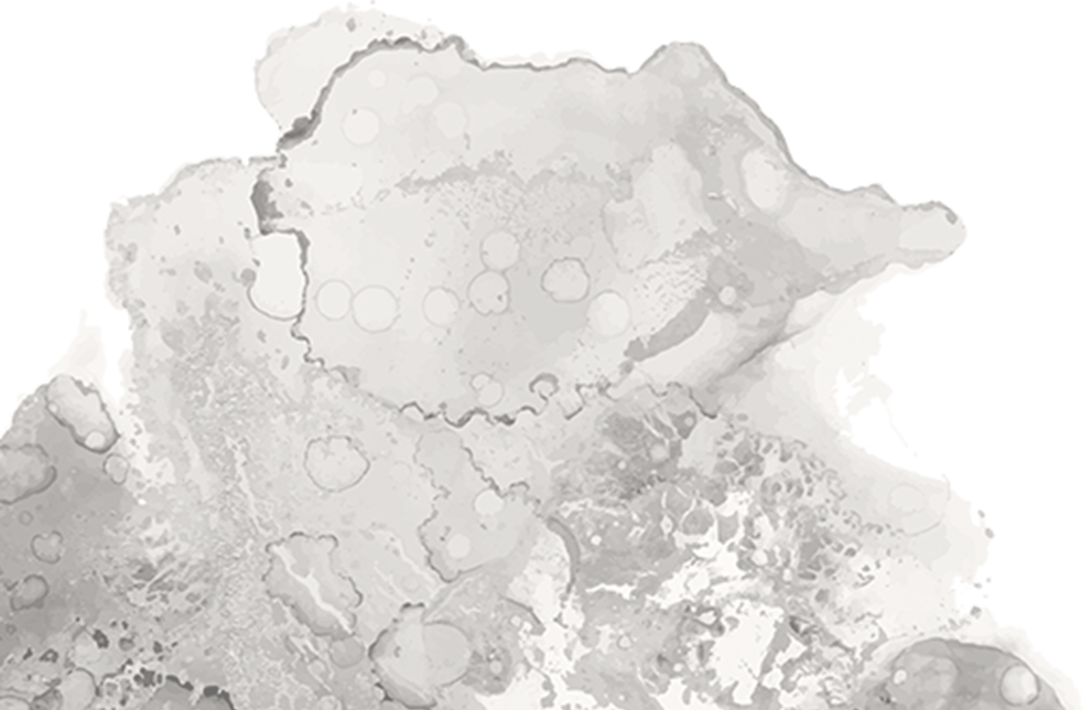 Quality Assurance Standards